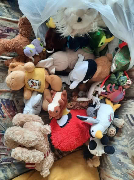 Photo of free Bag of teddies and soft toys (Burgess Hill) #1