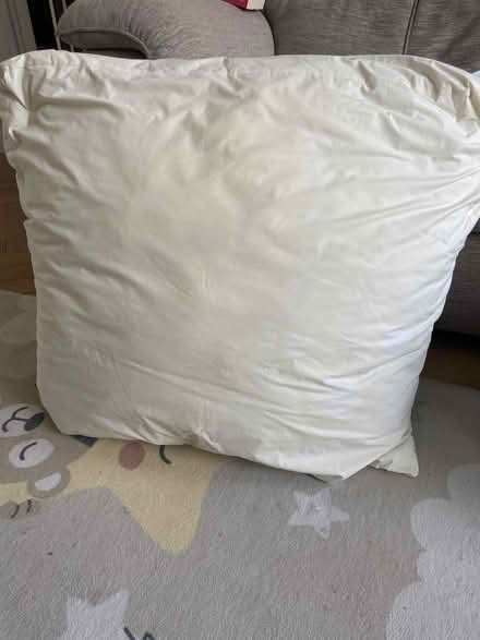 Photo of free Wedge pillow (70cm x 70cm x 20cm) (Lower Bevendean BN2) #1