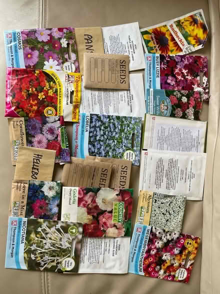 Photo of free Flower seeds (Crowborough TN6 Pleasant View) #1