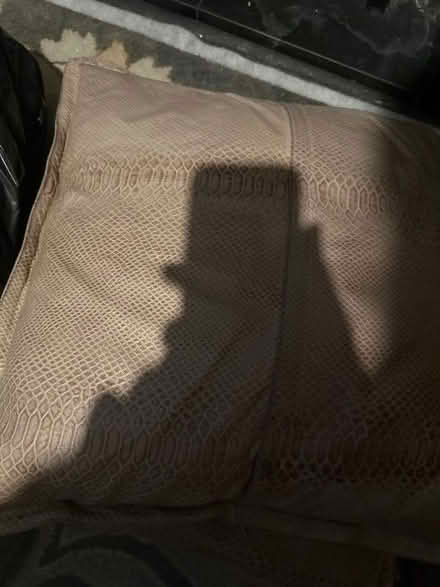 Photo of free Two leather cushions (AB24) #1