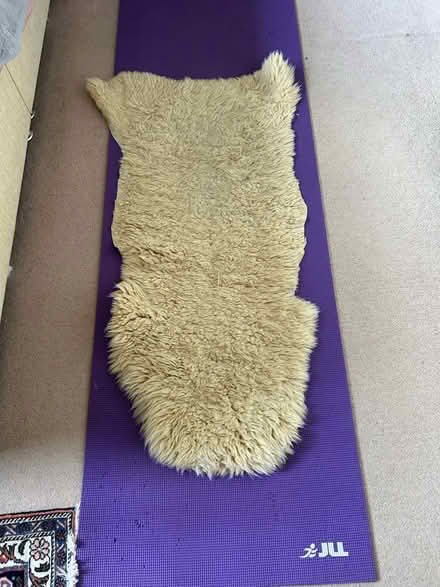 Photo of free 2 Sheepskin Rugs (Chiswick W4) #2