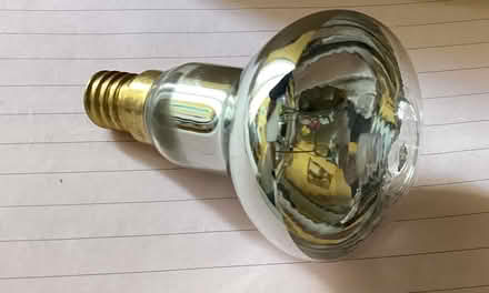 Photo of free Light bulbs unused (Southsea) #2