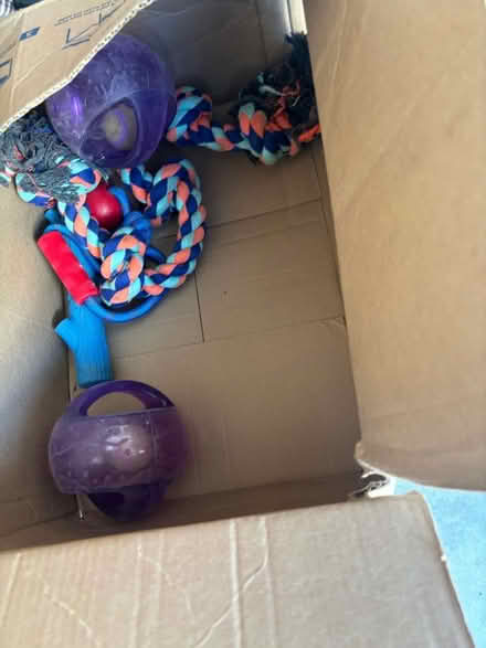 Photo of free Dog pull toys (95112) #2
