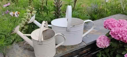 Photo of free 2 steel watering cans (Pershore, WR10) #1