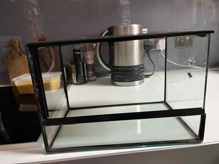 Photo of free Glass reptile enclosure (Brighton North Laine) #2