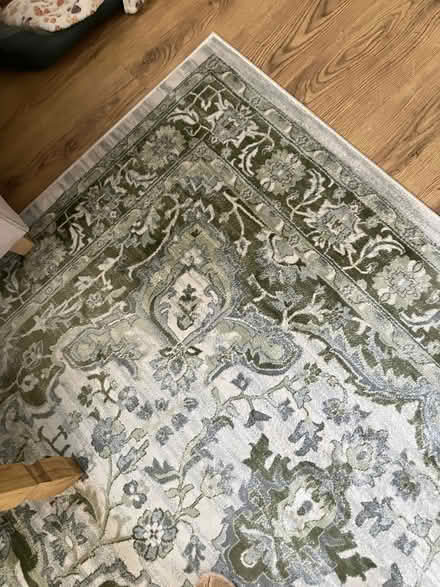 Photo of free Rug (Trotton, Hants GU31) #3
