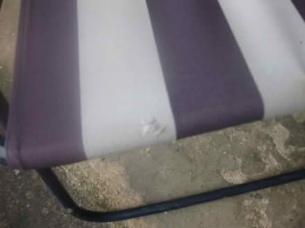 Photo of free Folding Garden Chair (Belmont, Durham) #2