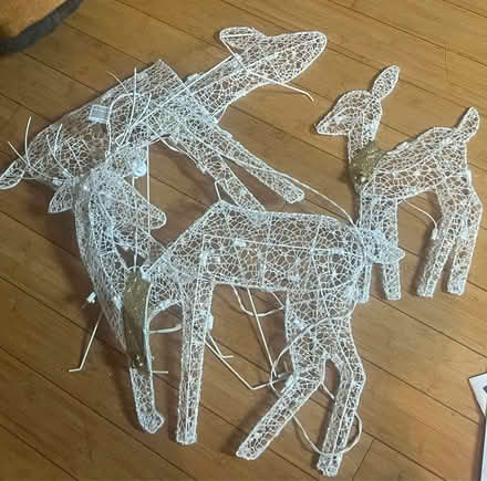 Photo of free Christmas Light Up Reindeer (Warren (Ryan & 9 Mile)) #1