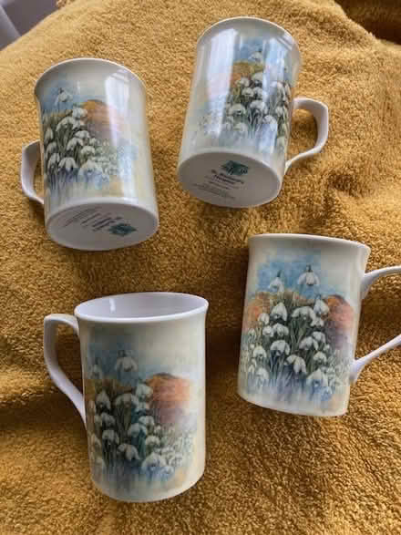 Photo of free Four 'snowdrop' mugs (Malvern WR14) #2
