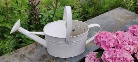 Photo of free 2 steel watering cans (Pershore, WR10) #2