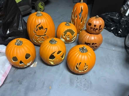 Photo of free Do you ❤️Halloween? Check this out (Westchase Fl) #1