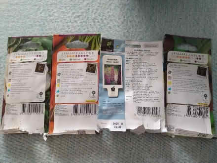 Photo of free Seeds (Peacehaven, BN10) #1