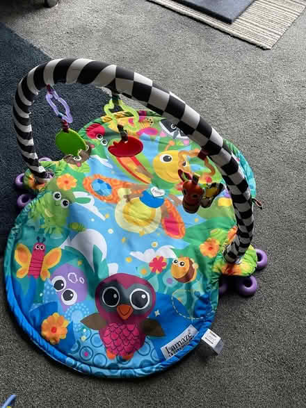 Photo of free Baby’s Basic Play Gym (Glan Conwy (LL28)) #1
