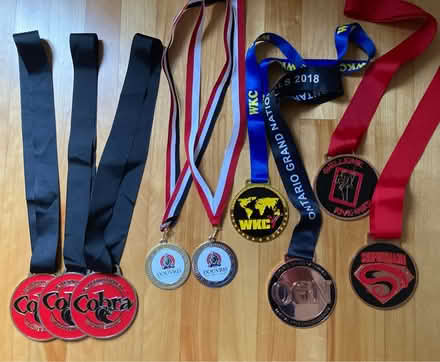 Photo of free Nine Karate Medals (Somerset/Bayswater) #1