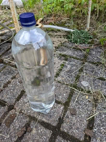 Photo of free Lots of empty large plastic bottles (Coombe Bissett SP5) #1