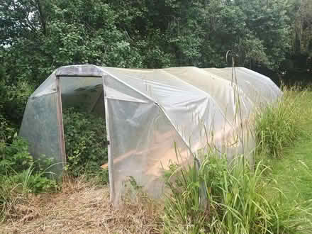 Photo of free Poly tunnel (Cwmbach Llechrhyd LD2) #3