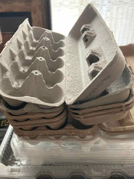 Photo of free Egg cartons (SW Denver) #1