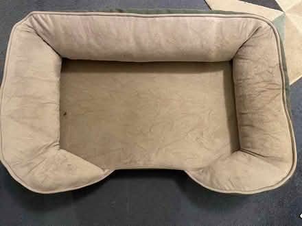 Photo of free Grey dog bed with bolsters (Putney SW15) #2