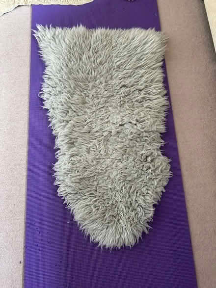 Photo of free 2 Sheepskin Rugs (Chiswick W4) #1