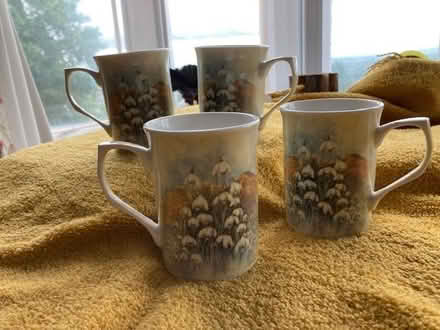 Photo of free Four 'snowdrop' mugs (Malvern WR14) #1