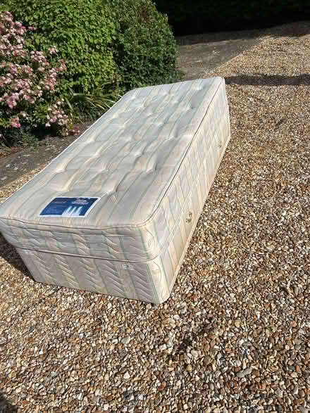 Photo of free Single divan bed (Hayling Island) #1