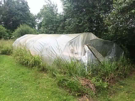 Photo of free Poly tunnel (Cwmbach Llechrhyd LD2) #2
