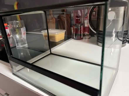 Photo of free Glass reptile enclosure (Brighton North Laine) #4