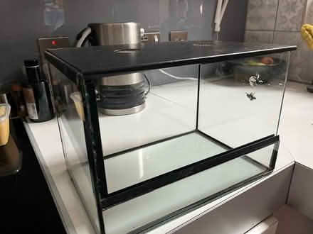 Photo of free Glass reptile enclosure (Brighton North Laine) #1