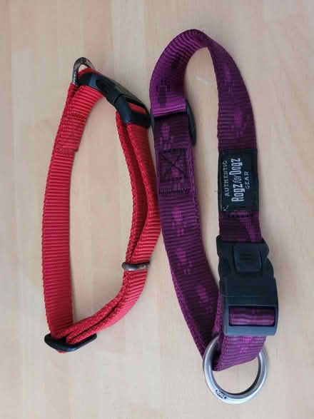 Photo of free 4 dog collars, adjustable, blue, red, purple (West End LA3) #2