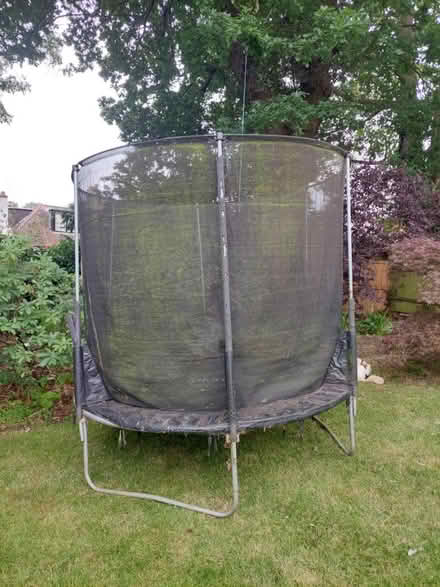 Photo of free Trampoline (N6, highgate station) #2