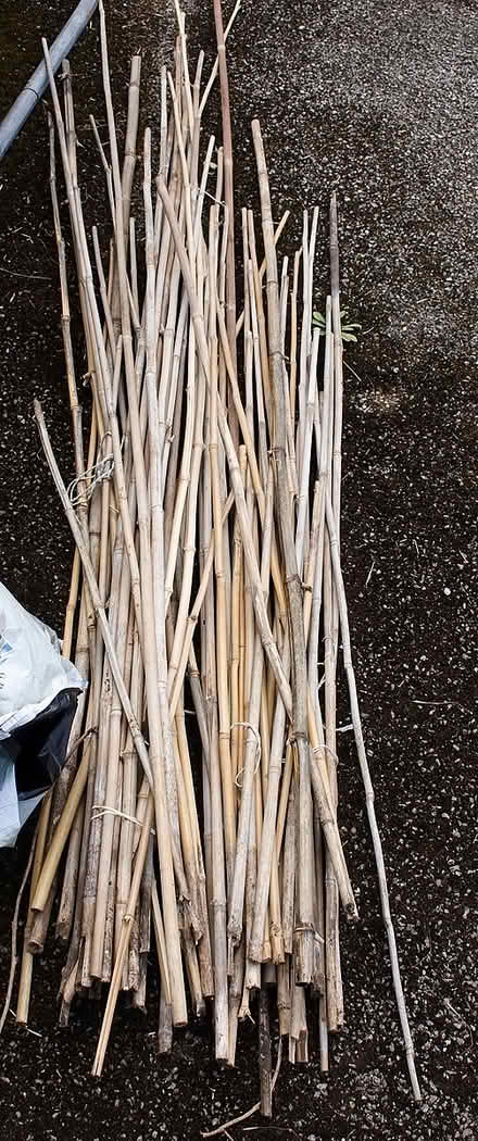 Photo of free Garden Canes (Browns Hill GL6) #1
