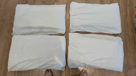 Photo of free Four polyester pillows. No covers (Highfield Caldecote, CB23) #1