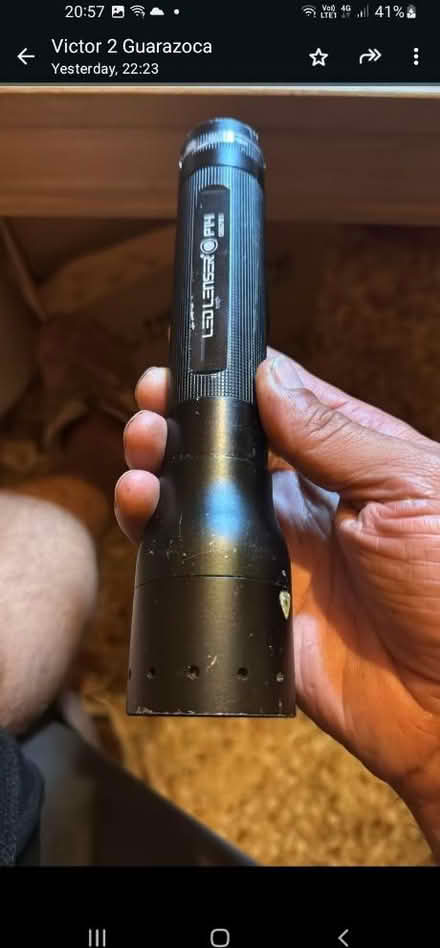 Photo of Led laser torch (Upper oldfield park) #2