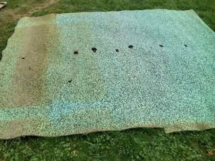 Photo of free Carpet and pad (Brooktondale) #1