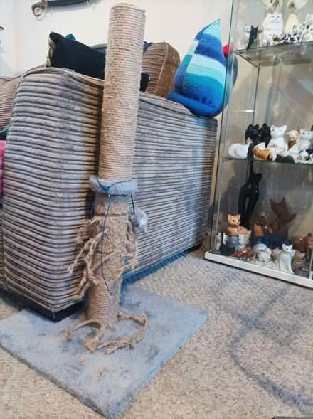 Photo of Cat scratching post (Eaglestone MK6) #1
