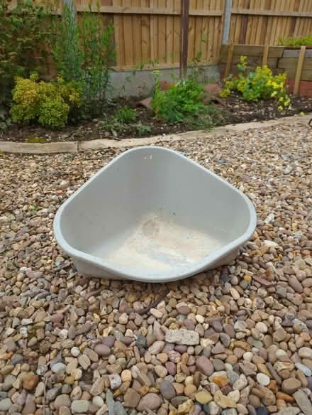Photo of free Corner cat litter tray (large) (Leicester LE3) #1