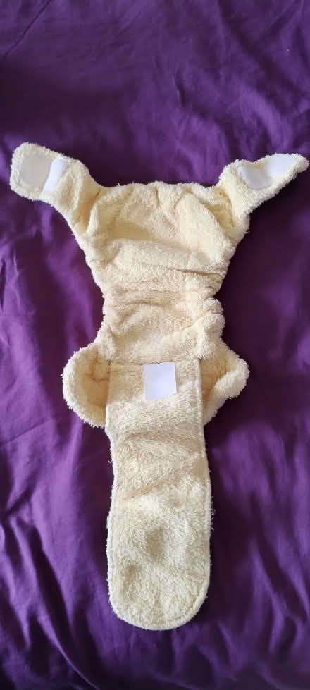 Photo of free Washable Nappies - size small (Athelney TA3) #3