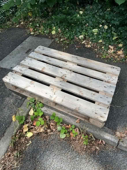 Photo of free 2 wooden PALLETS (Kingston Gate KT2) #1
