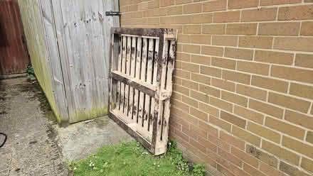 Photo of free Wooden pallet (South Oxfordshire RG9) #1