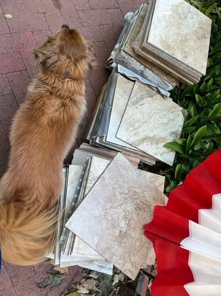 Photo of free floor tiles (Capitol Hill near Lincoln Park) #1