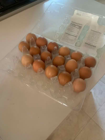 Photo of free Costco organic eggs (West san jose) #1