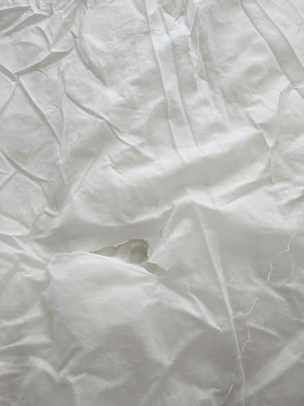 Photo of free Single comforter (TW5, Hounslow West) #2