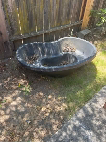 Photo of free In ground pond (Armijo) #2