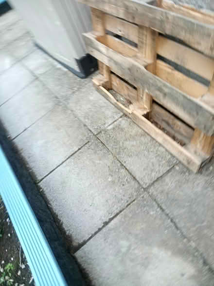Photo of free Pallets - standard and narrow (Cossington (TA7)) #2