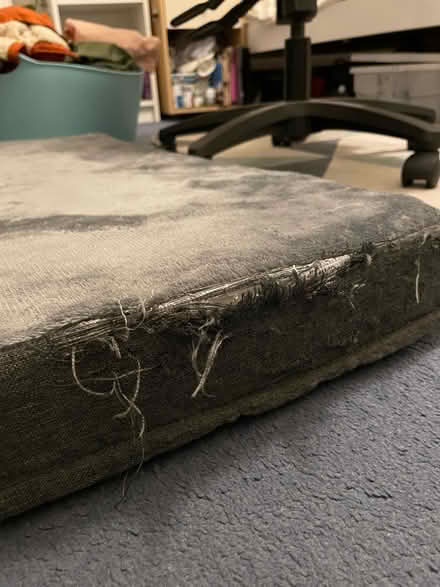 Photo of free Grey dog bed (Putney SW15) #3