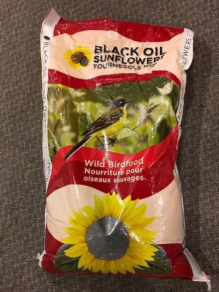 Photo of free Sunflower Seeds (Aylmer Lakeview Terrace) #1