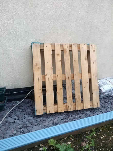 Photo of free Pallets - standard and narrow (Cossington (TA7)) #1