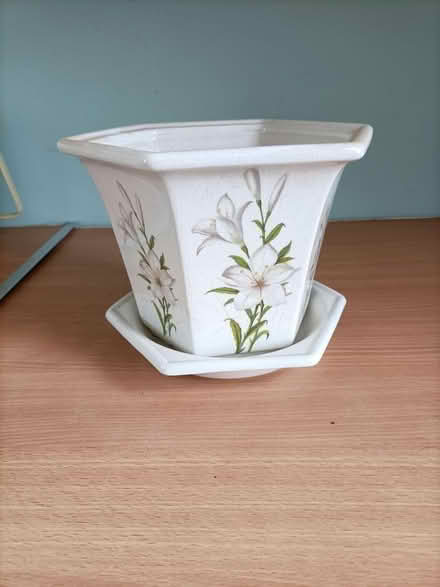 Photo of free Ceramic planter (Waterlooville PO8) #1