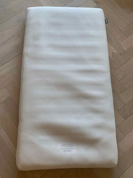 Photo of free Cotbed mattress (Hackney E8) #1