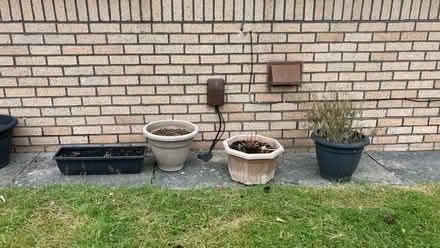 Photo of free Four planters (HX2) #1